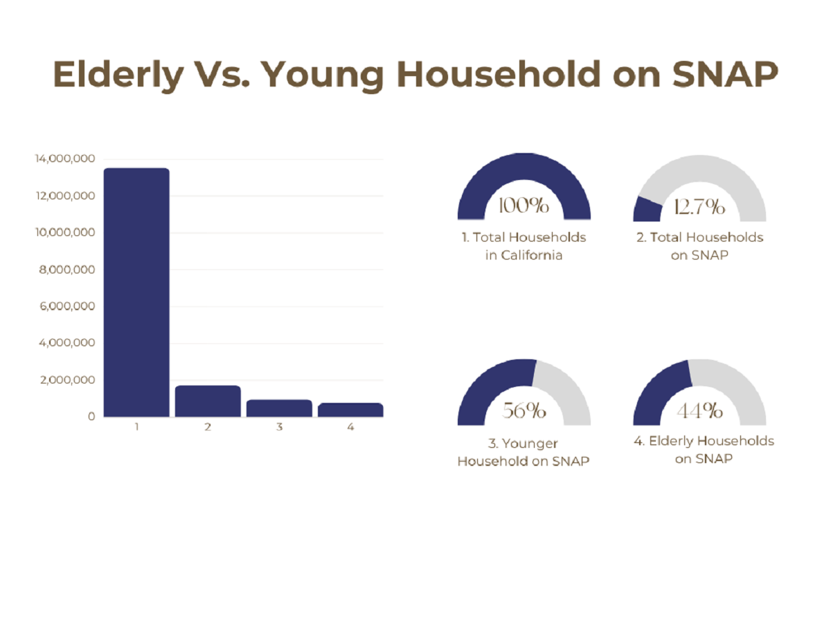 Elderly Vs Young Households on SNAP