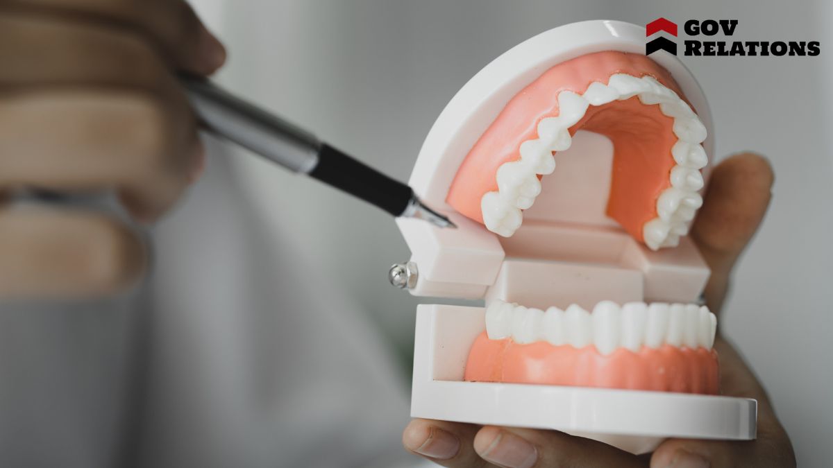 Exploring Government Assistance Programs