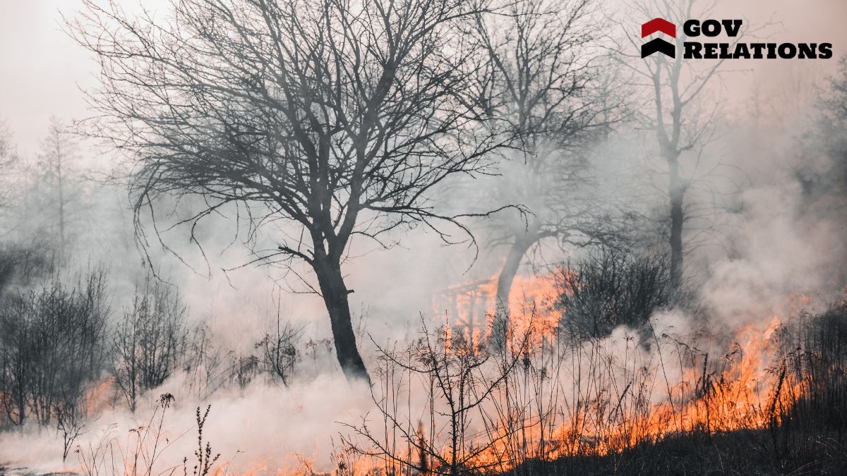 Leveraging Disaster Relief Grants for Business Recovery