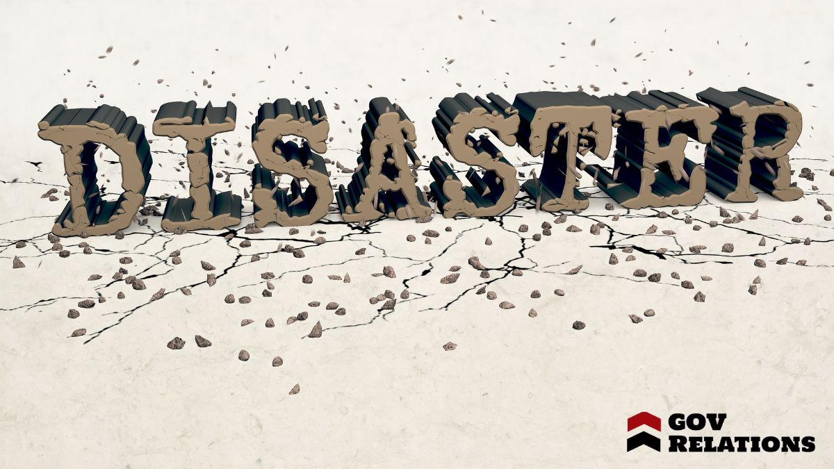 Understanding Disaster Relief Grants