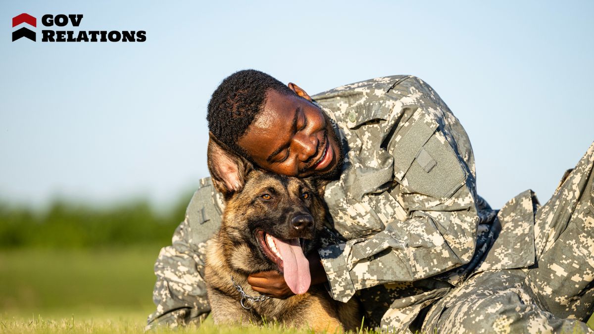 Success Stories and Impact on Veterans' Lives