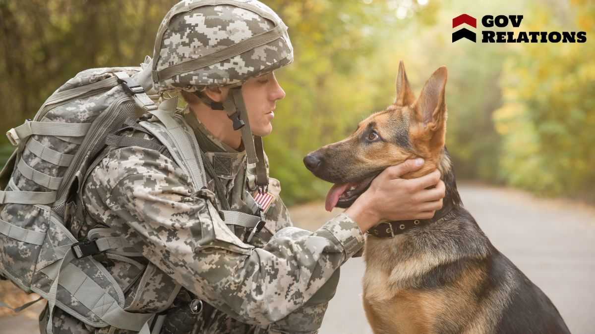 Understanding the Challenges Veterans Face