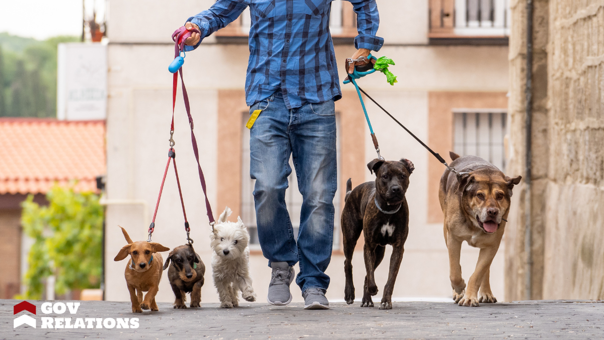 Provide Pet Sitting or Dog Walking Services